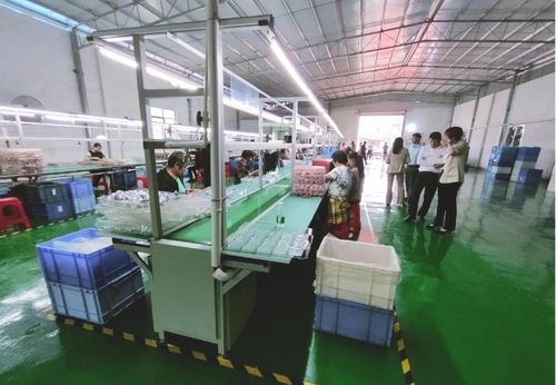砥礪奮進啟新程，鄉村振興謀新篇——浛洸鎮張陂村玩具加工廠隆重開業